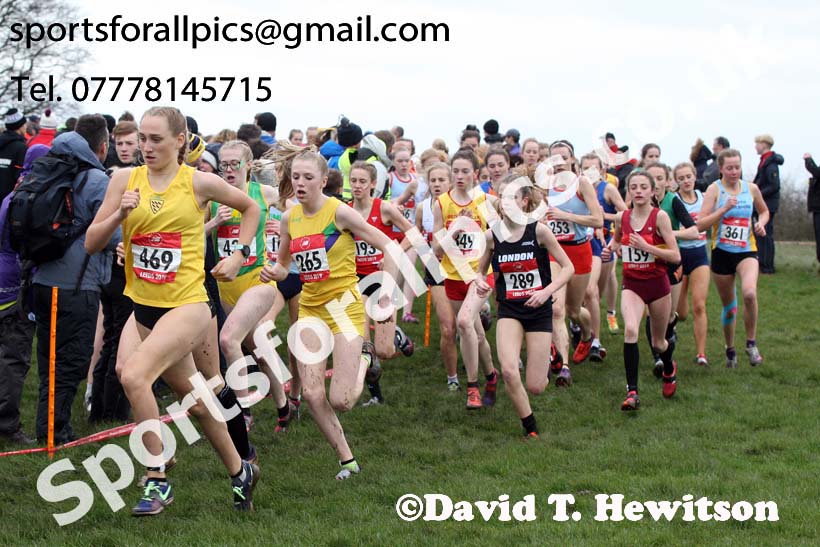 Intermediate girls 2019 New Balance English Schools Cross Country Champs, Temple Newsam, Leeds. Photo:  David T. Hewitson/Sports for All Pics